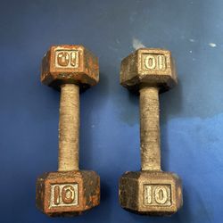 10 Lbs Pair Hand Weights