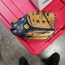 Wilson Baseball Mit