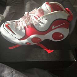 Jordan 3 Nike Zoom Flights