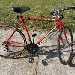 Murray 10 speed bike