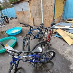 Four seventy utility diapers , pull ups nutritional items , shoes , clothing dogs leave new