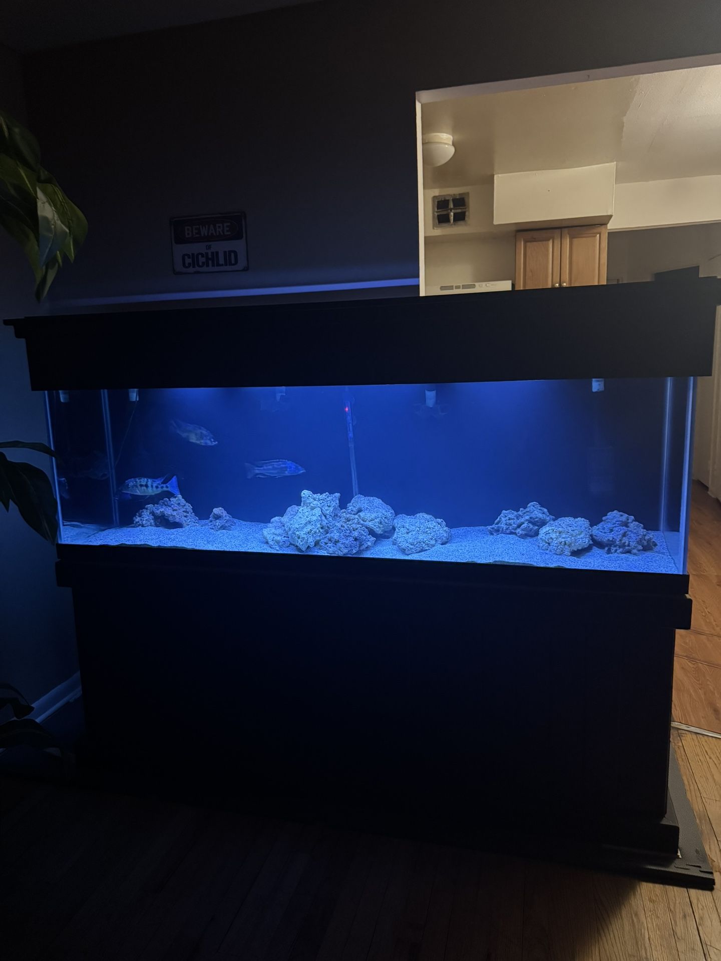 125 Gallons Fish Tank
