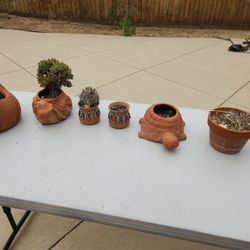 Small Plant Clay Pots