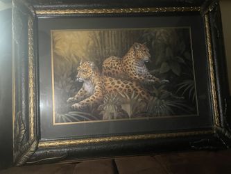 A Jaguar Portrait