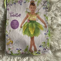 Tinker bell Costume