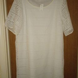 Women's Size XL Gap Overlay Shift Dress Color Off White Pick Up In Florence KY 
