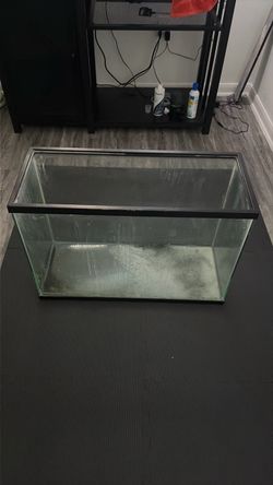 29 gallon fish tank