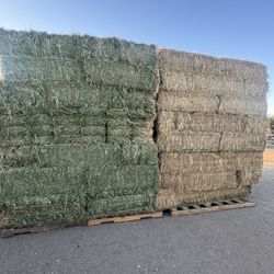 Hay Alfalfa 