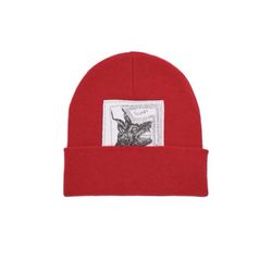 Supreme x The North Face Beanie 