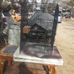 Bird Cage 