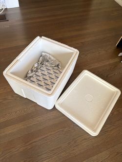 FREE styrofoam coolers