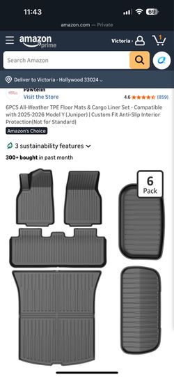 Tesla car mats