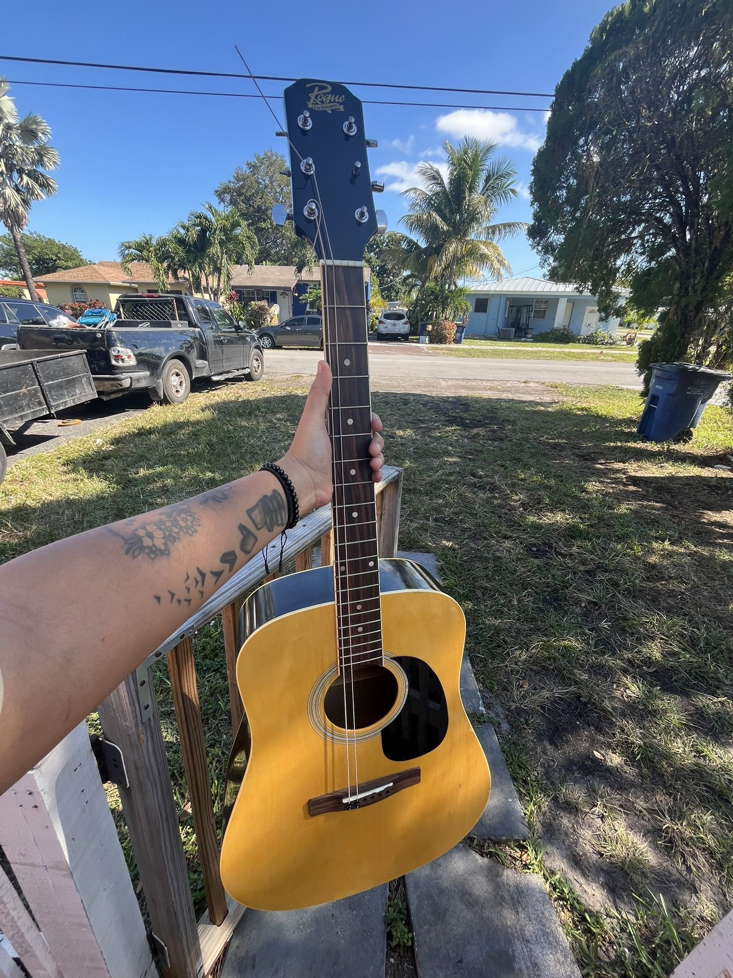 Rogue acoustic guitar