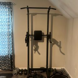 Pull Up Bar/Dip Station
