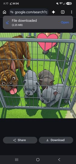 Perro frenchi