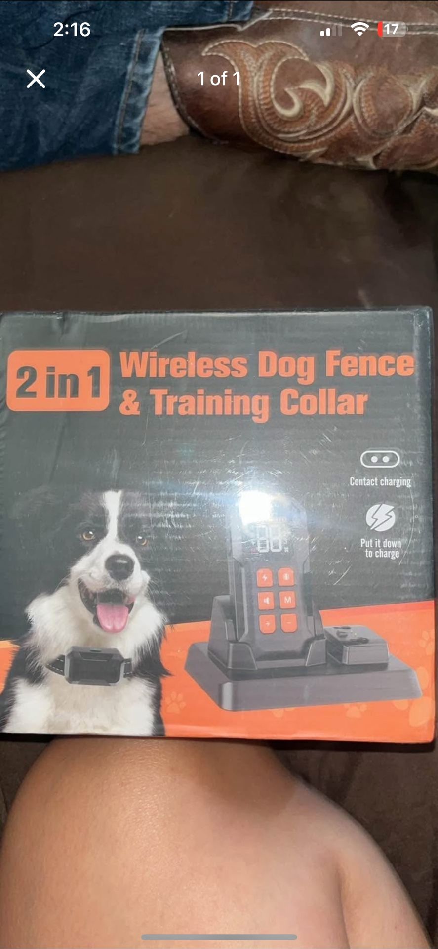 Training Collar