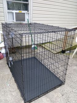 Large dog kennel