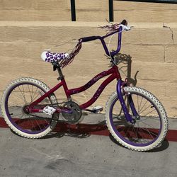 20" Dynacraft Girl's Rule Kids Bike