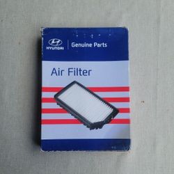 Hyundai Sonata 2015 - 2019 Genuine Engine Air Filter 28113 C1100 New