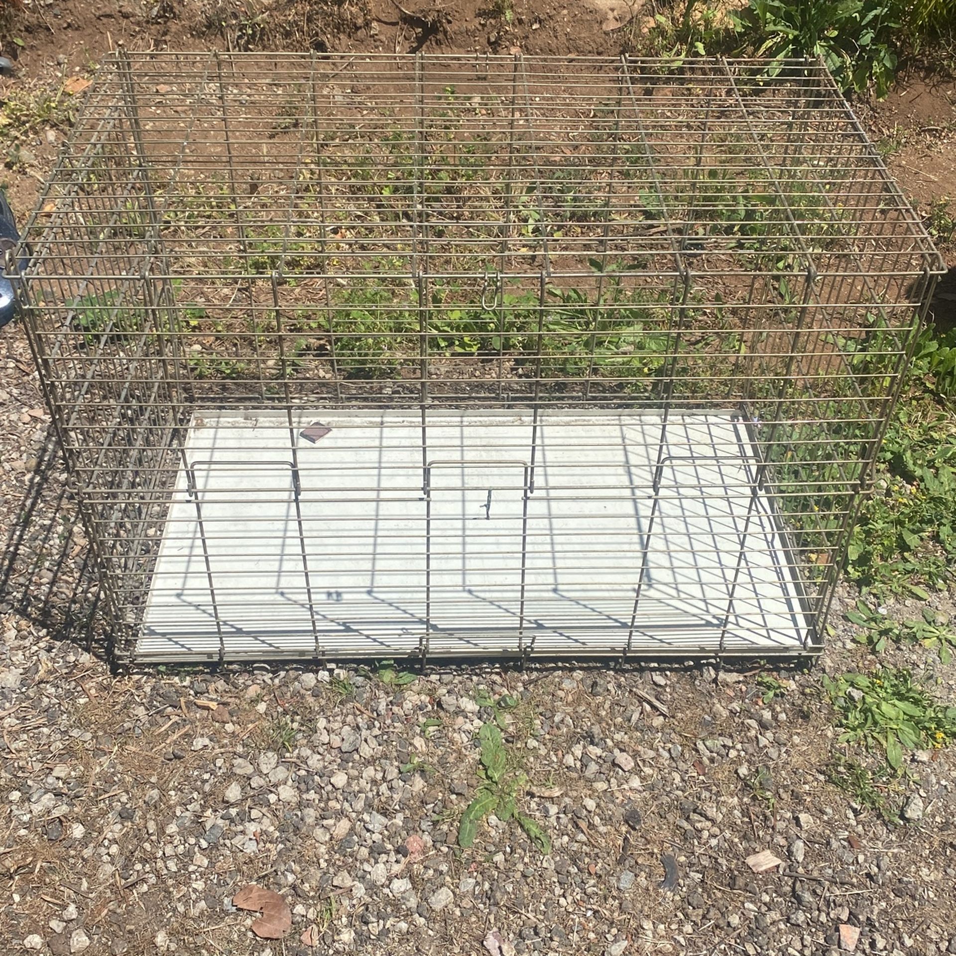 Dog Crate Or Small Bear Crate