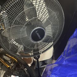 Fan