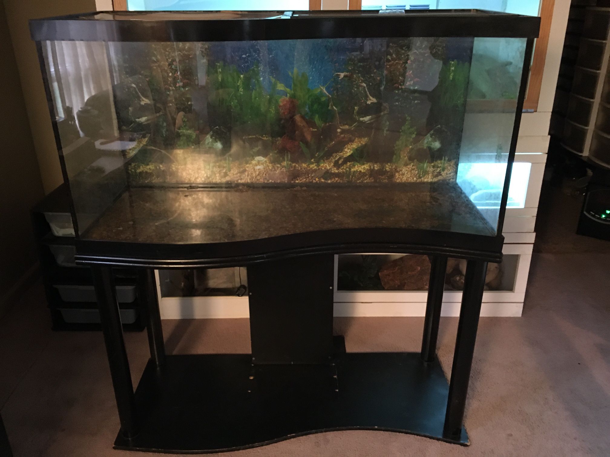 READ AD! 90 gallon Wave Front aquarium Full Setup With Stand READ AD!