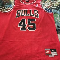 Michael Jordan Chicago Bulls Jersey #45
