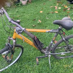 Trek Bike 21 Inch