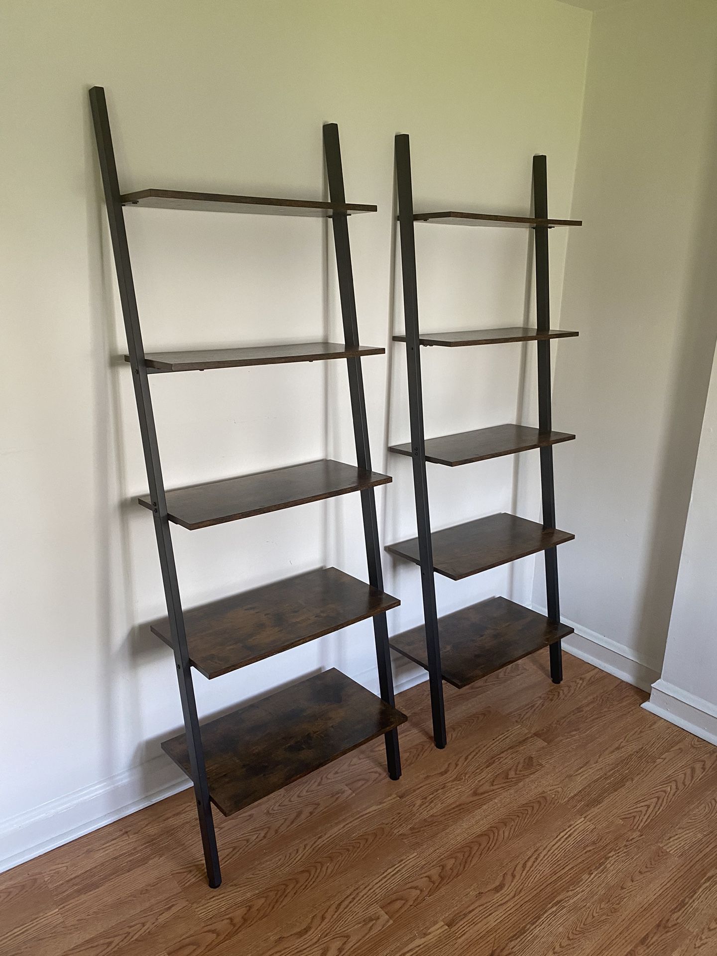 Ladder Book Shelf (2)