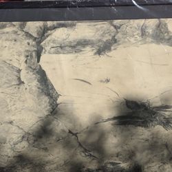 Gibbs Milliken Charcoal Drawing Museum Piece 1963