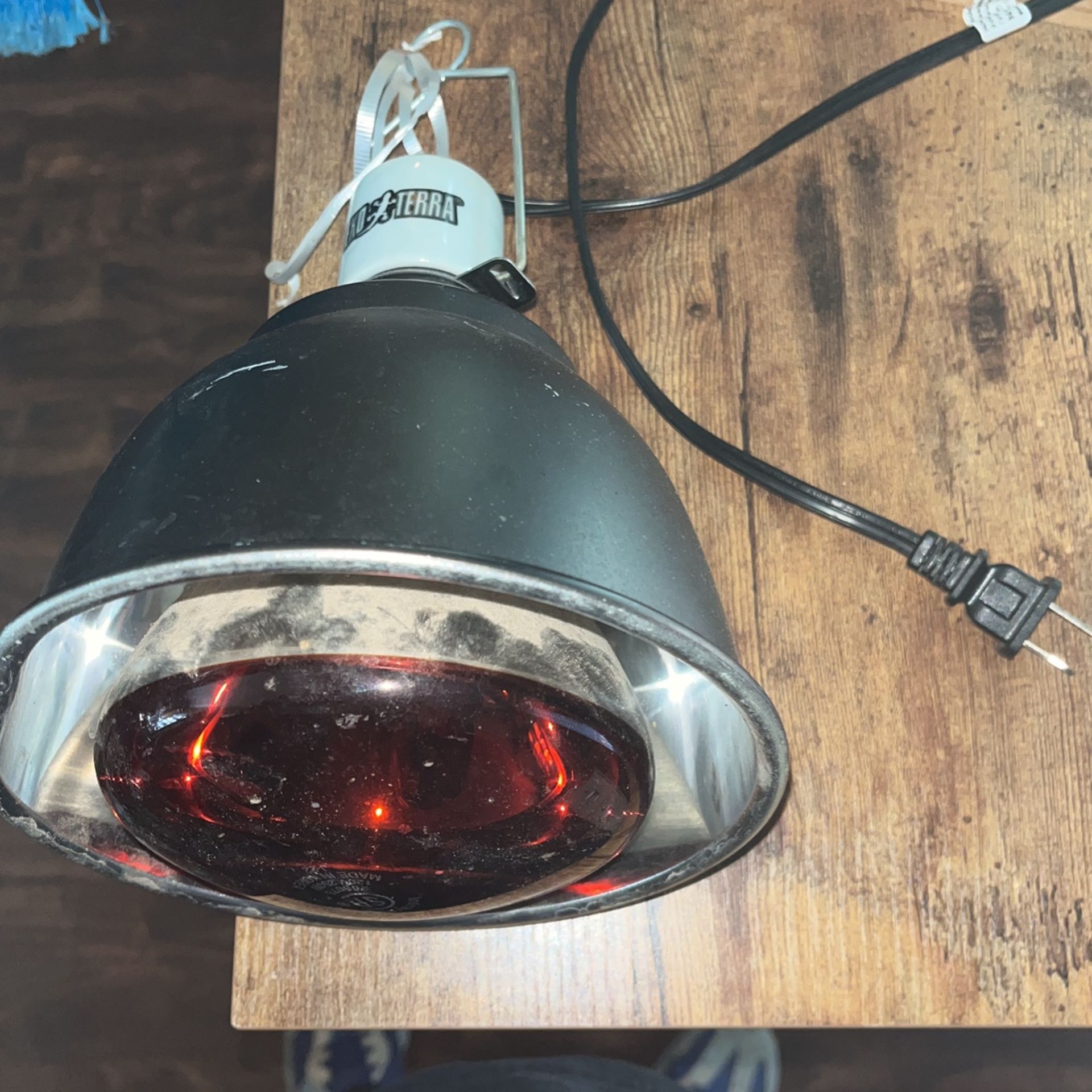 Reptiles Heat Lamp