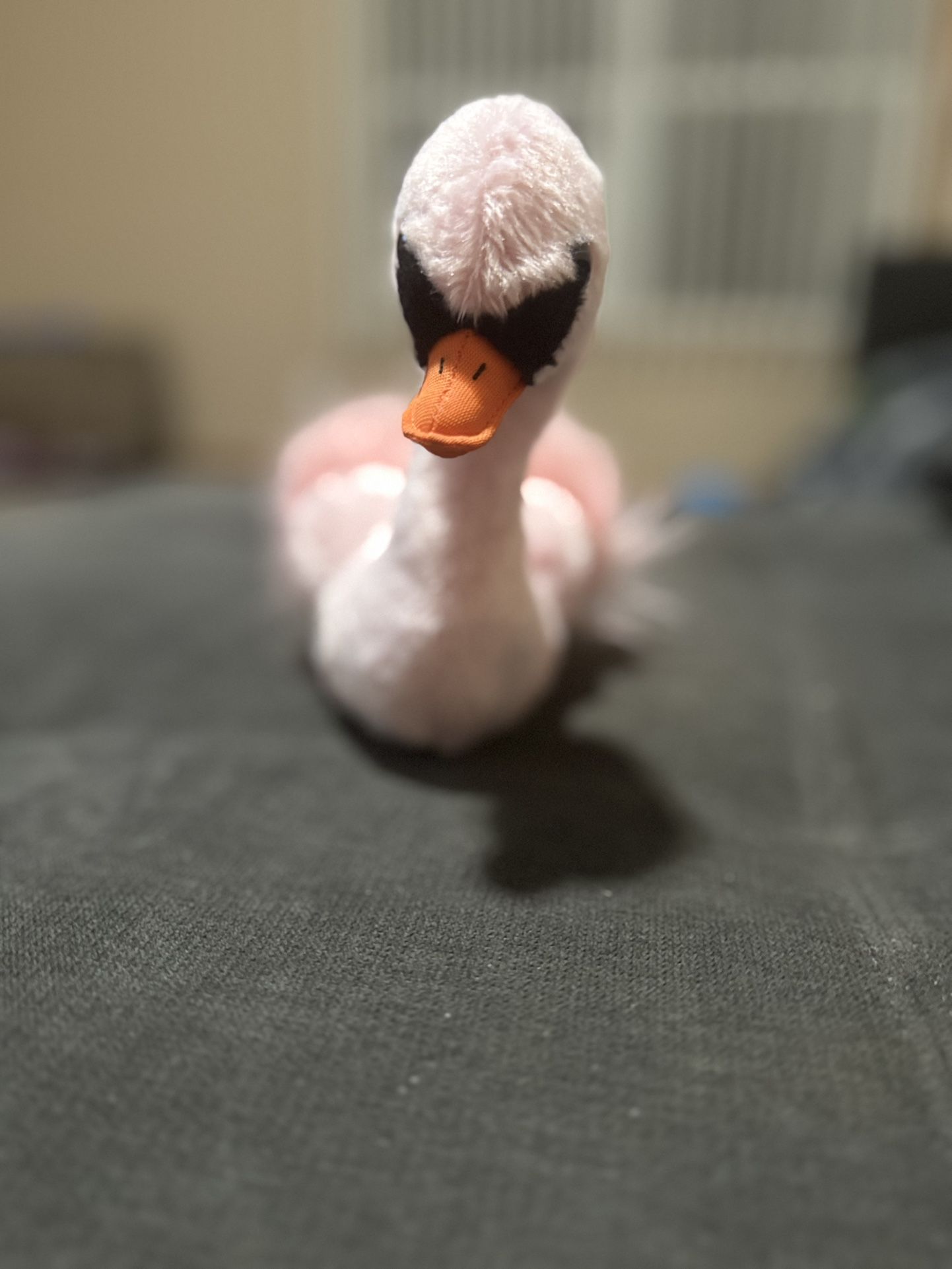 Beanie Baby