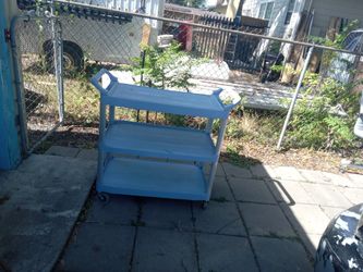Carrito De Ruedas 40