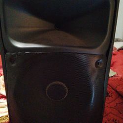 I bastek 15” Speaker 