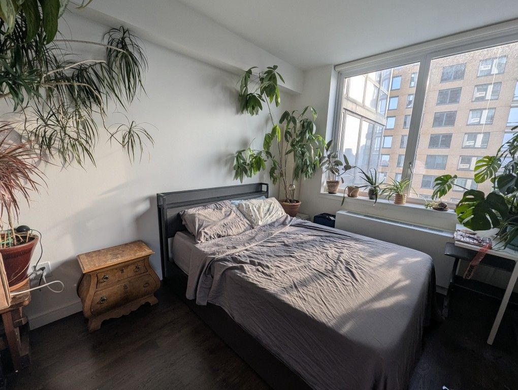 Brand New Queen bed Frame