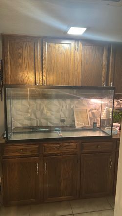 Large fish tank 60 Gal