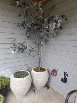 Artificial Olive Tree Planter 6' Tall