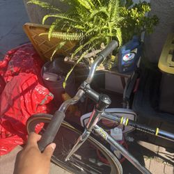 Fixie 