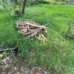 Lawn care