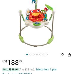 Baby Bouncer