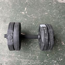 single 10lbs dumbbell 