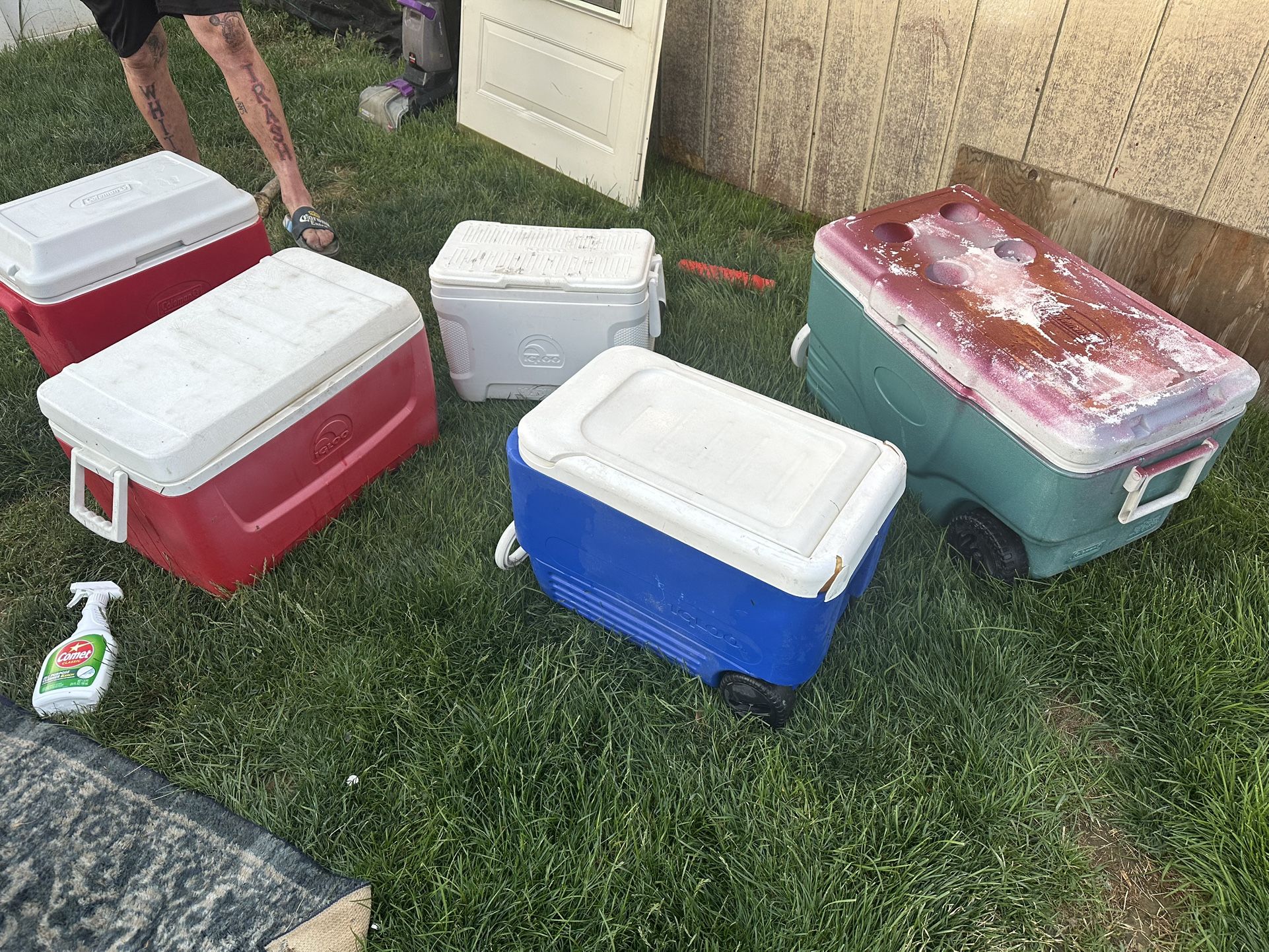 Coleman And Igloo Coolers