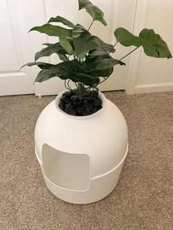Flower Pot Kitty Litter Box