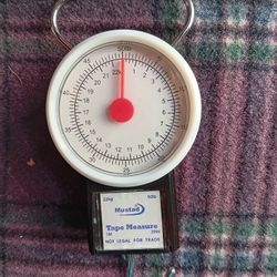 Scale 