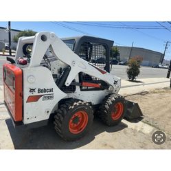 Bobcat 