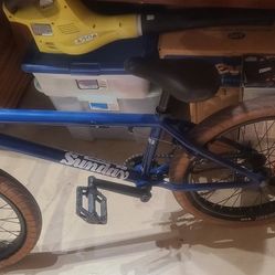 Sunday Primer Bmx Bike $280