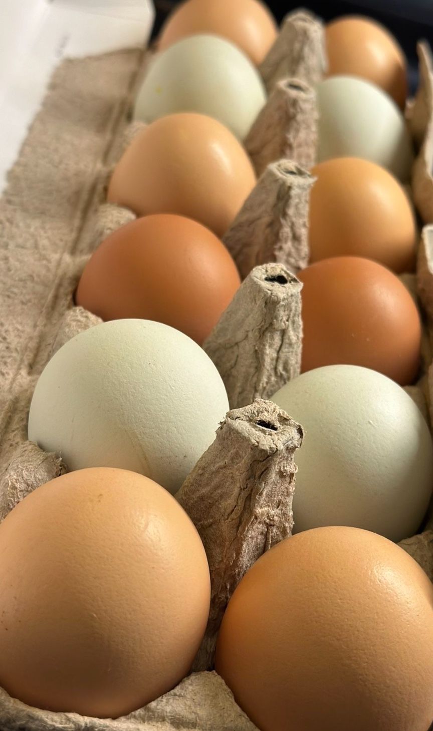 Farm Fresh Eggs $7
