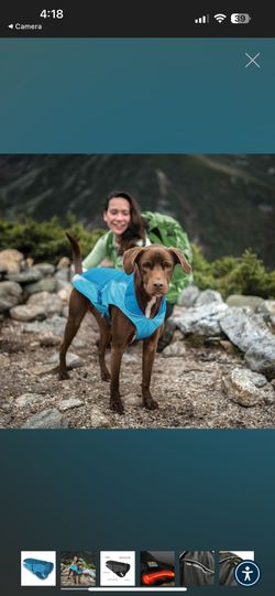 Kurgo North Country Dog Coat - Blue