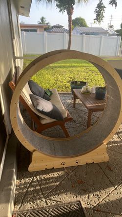 Large Cat Exercise Wheel