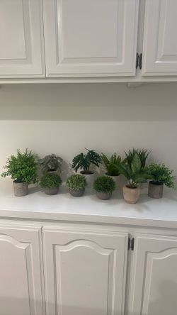 11 Faux Plants 